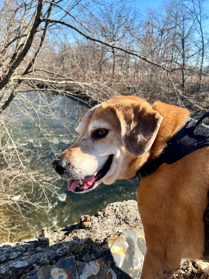Ravenswood Animal Hospital LLC 12