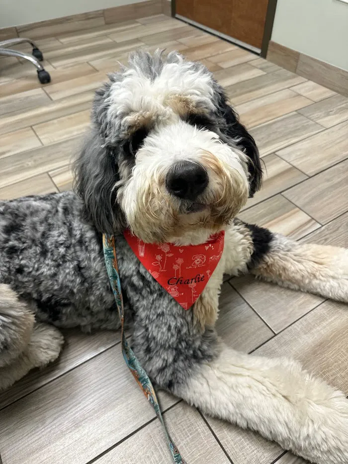 Ravenswood Animal Hospital LLC 12