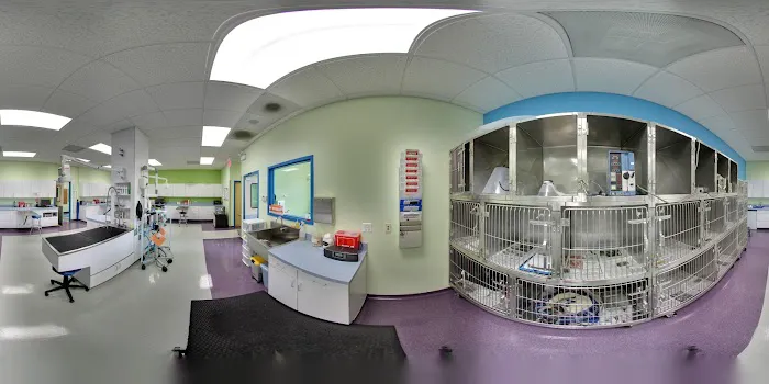 Portage Park Animal Hospital 12