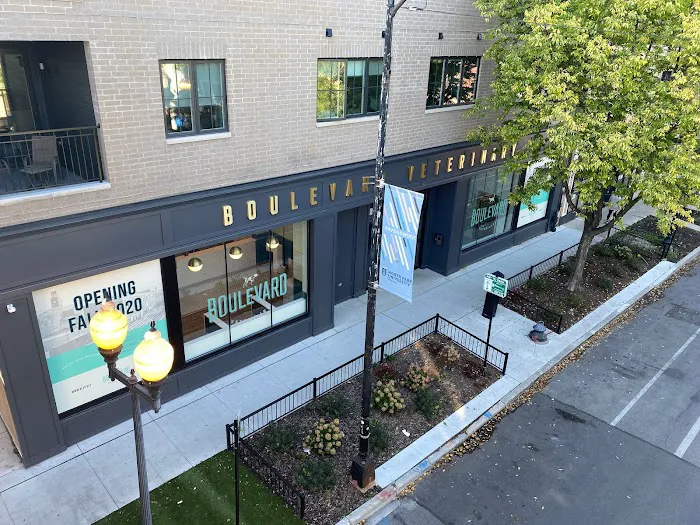 BLVD Vet Ravenswood 12