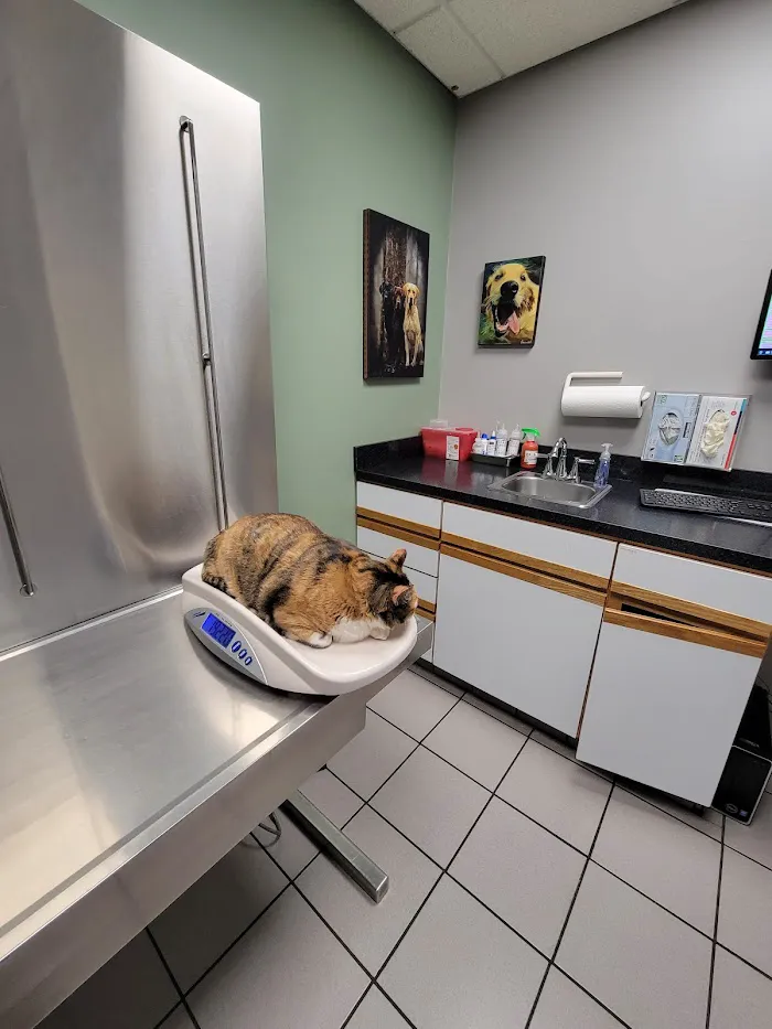Mayfair Animal Clinic PC - Chicago, IL 12