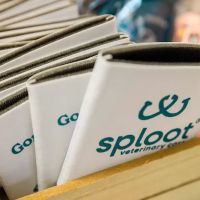 Sploot Veterinary Care - Clybourn ico