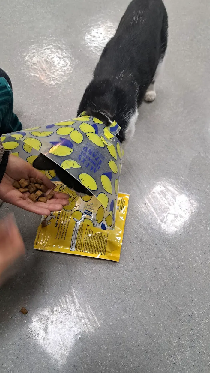 Paws and Feathers Emergency Hospital 12
