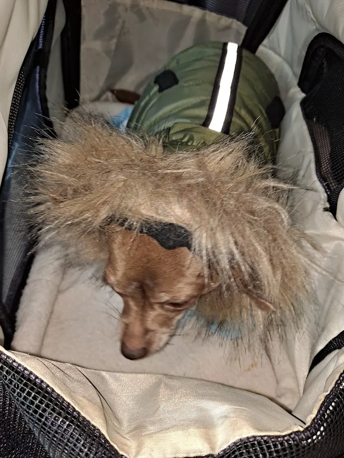 Fullerton Animal Clinic 12