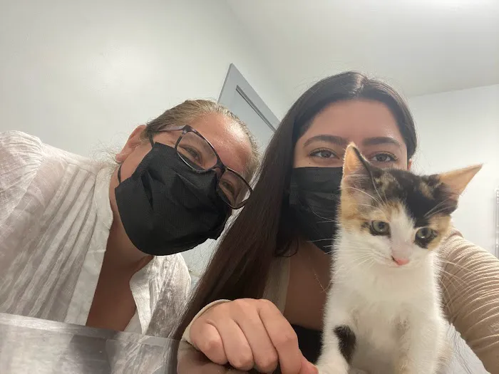 Fullerton Animal Clinic 12