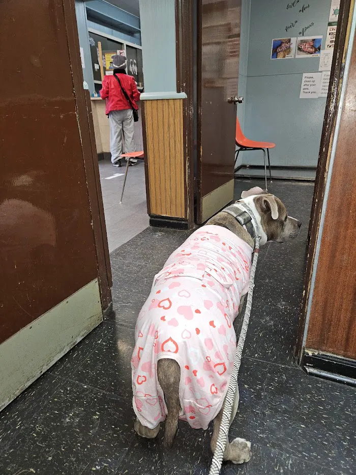 Seligman Animal Hospital 12