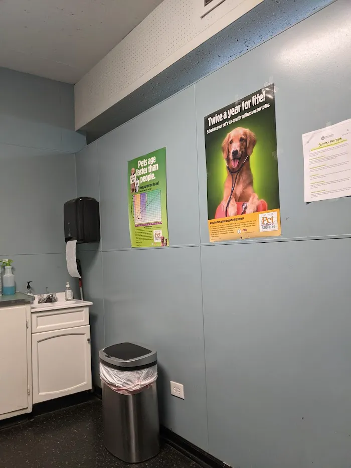 Seligman Animal Hospital 12