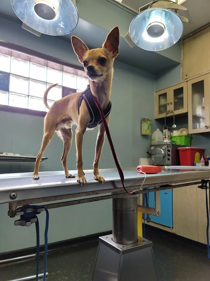 Seligman Animal Hospital 12