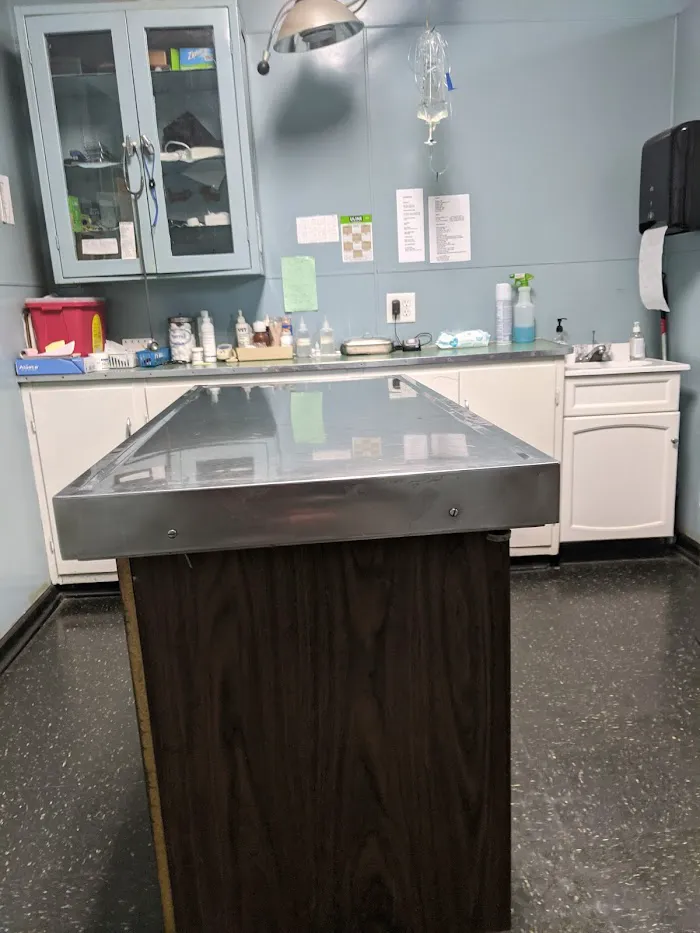 Seligman Animal Hospital 12