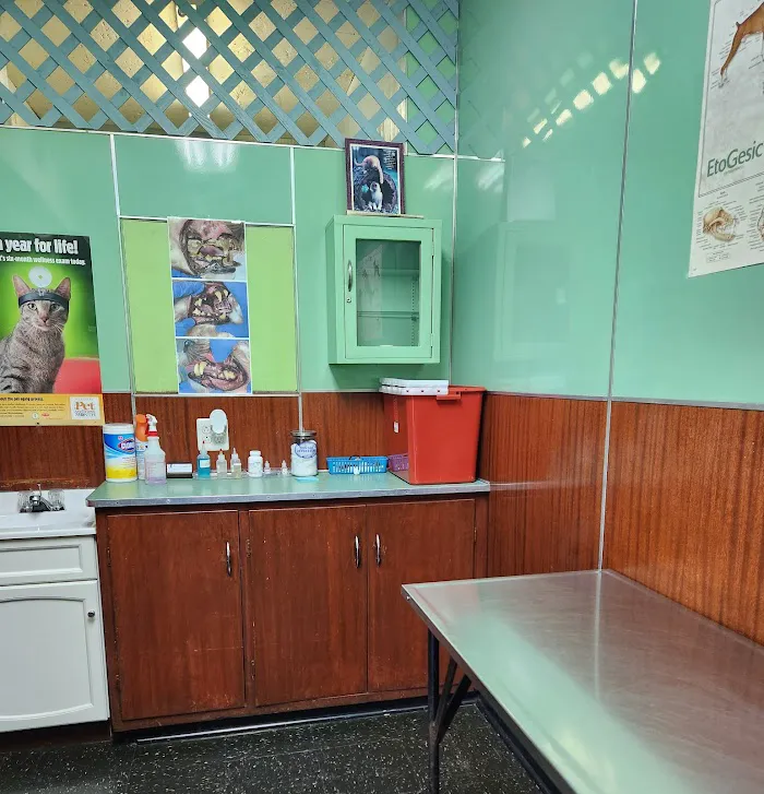 Seligman Animal Hospital 12