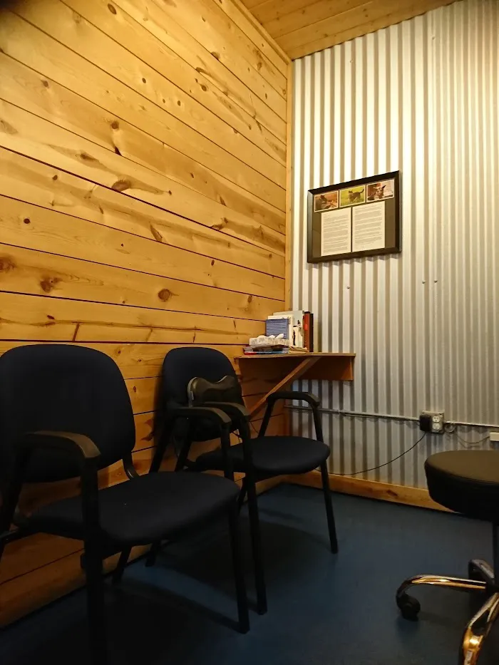 The Royal Treatment Veterinary Center 7