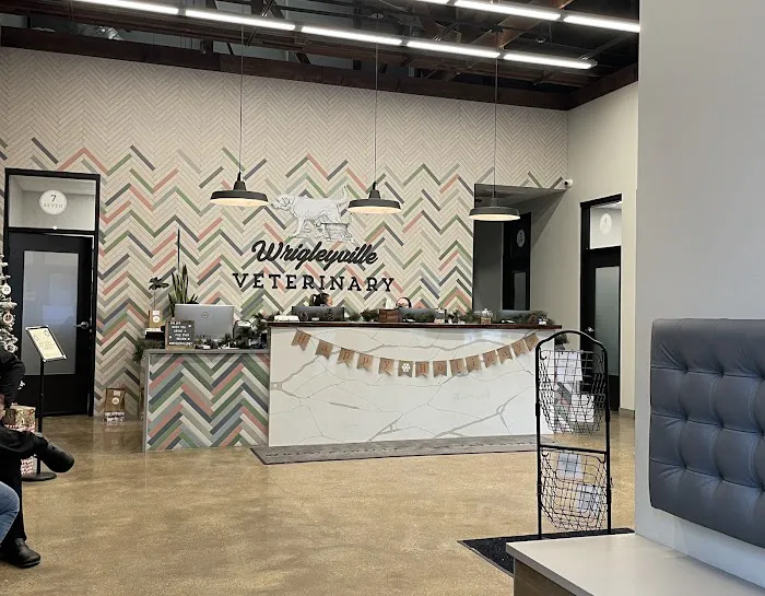 Wrigleyville Veterinary Center 12