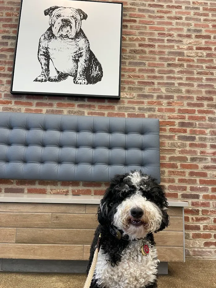Wrigleyville Veterinary Center 12