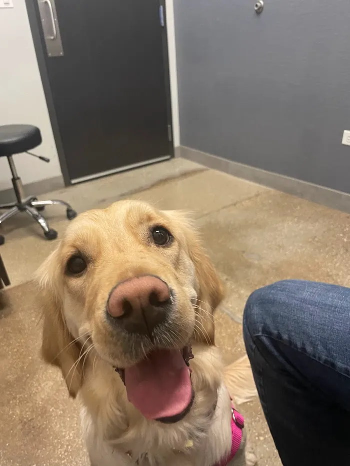 Wrigleyville Veterinary Center 12