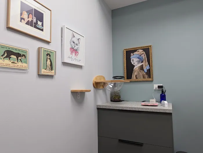 Fauna Veterinary Care 1