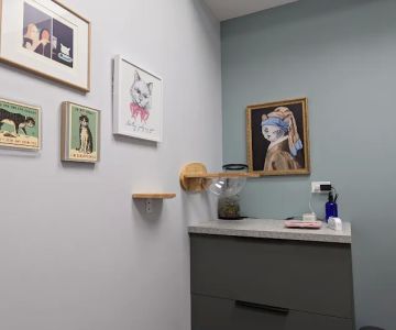 Fauna Veterinary Care