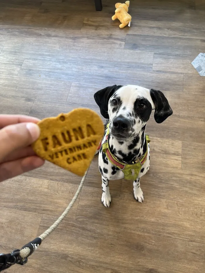 Fauna Veterinary Care 8