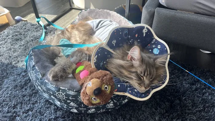 Fauna Veterinary Care 4