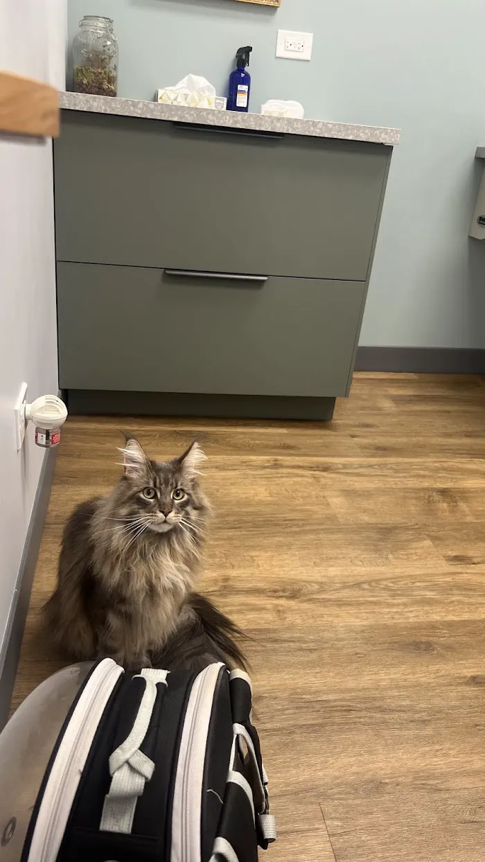 Fauna Veterinary Care 3