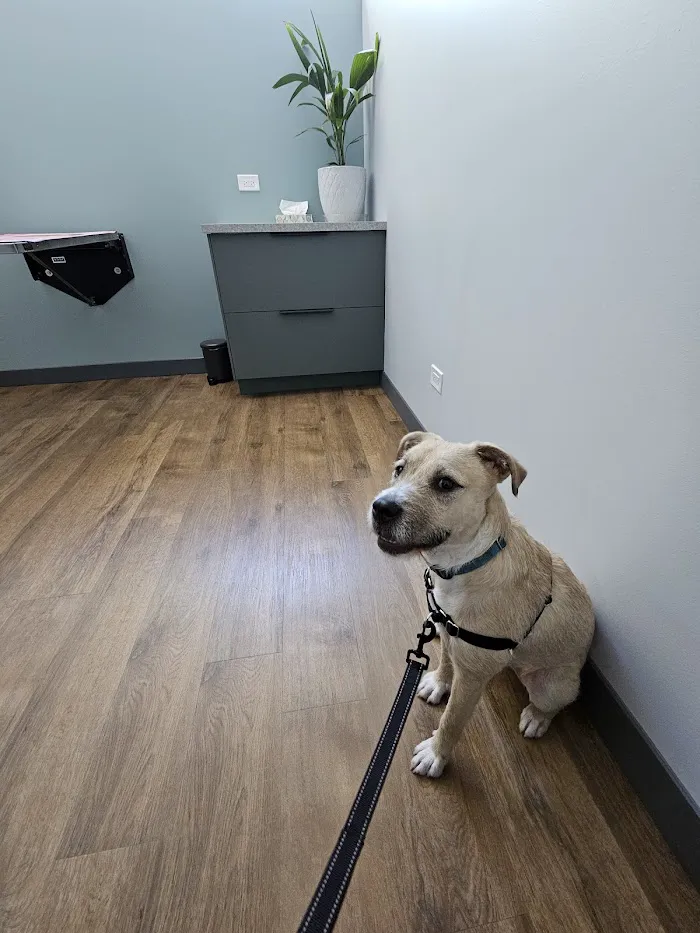 Fauna Veterinary Care 5