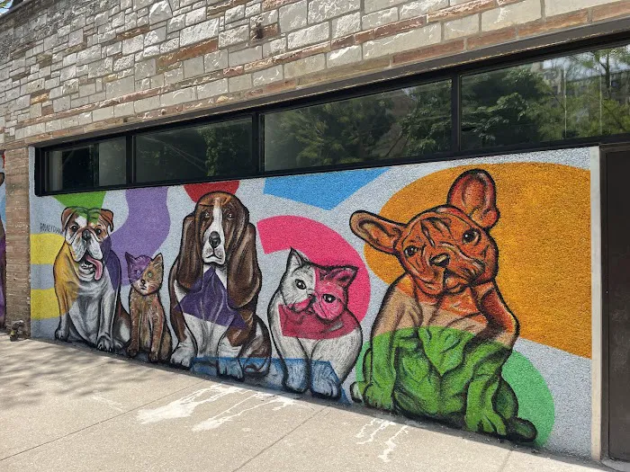 Fauna Veterinary Care 10
