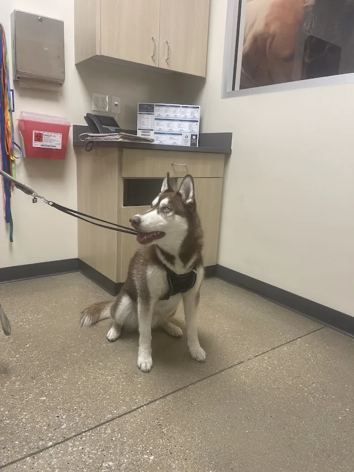 Vetco Total Care Animal Hospital 5