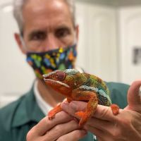Animal House of Chicago ico