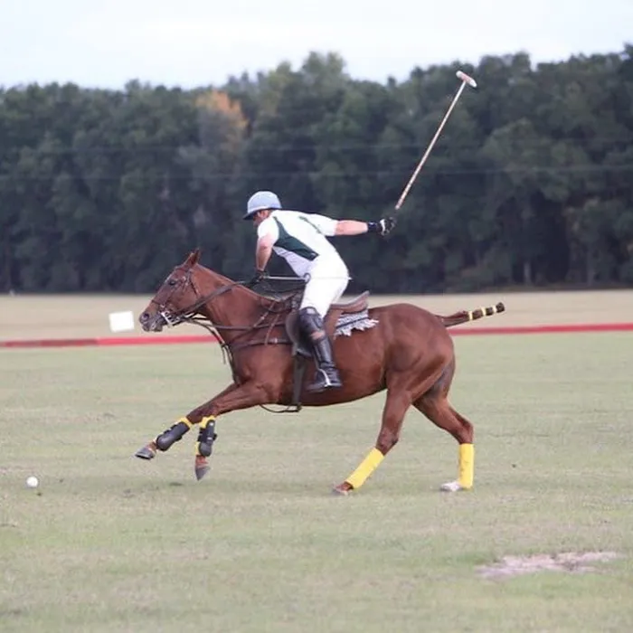 Carlos Zamora Veterinary Services 12