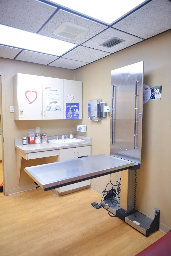 Town & Country Veterinary Clinic 12