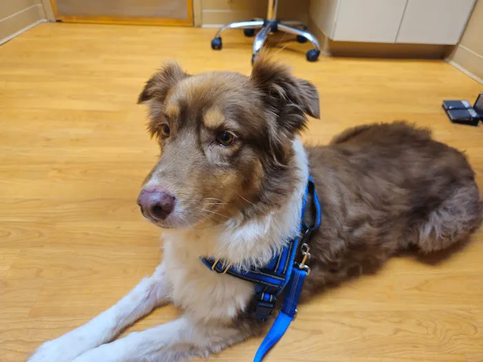 Town & Country Veterinary Clinic 12