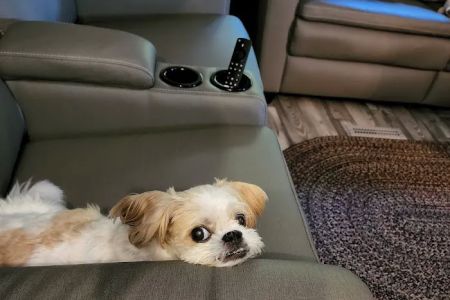 Bradford Pet Care Hospital