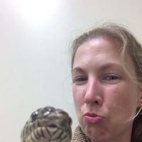 Marnie Knight Thomas, DVM Avian and Exotic Veterinary Medicine ico