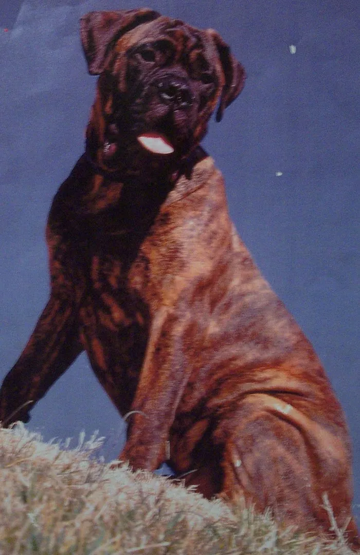 Chiefland Animal Hospital 12