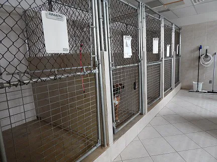 Trenton Animal Hospital 12