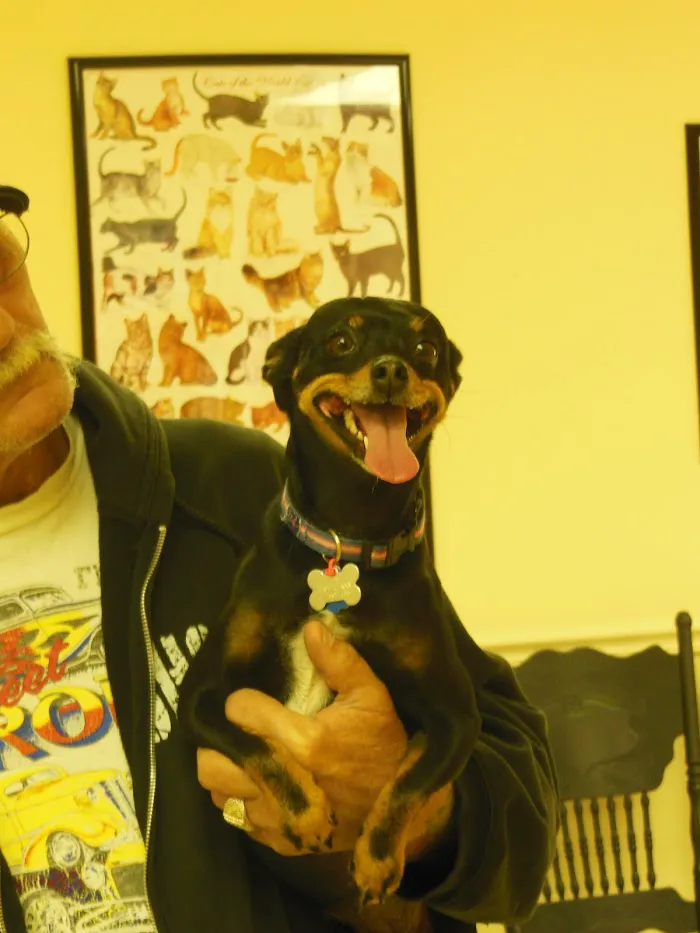 Pet Vet Clinic 12