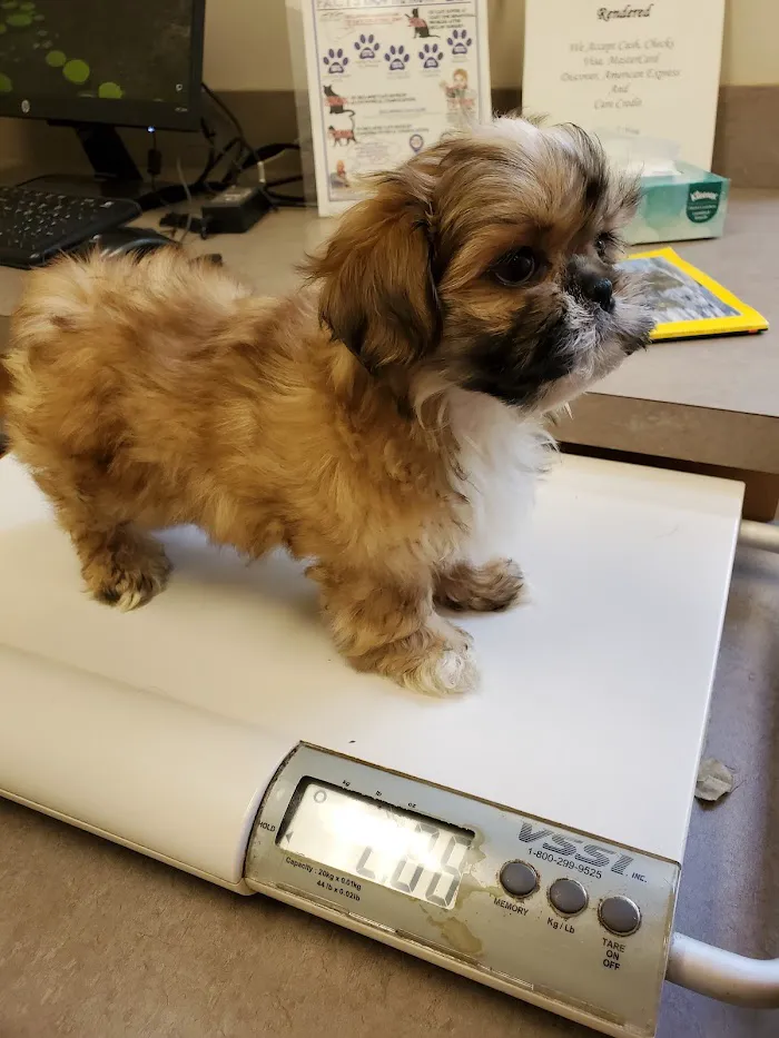 Suwannee Valley Veterinary Clinic 12