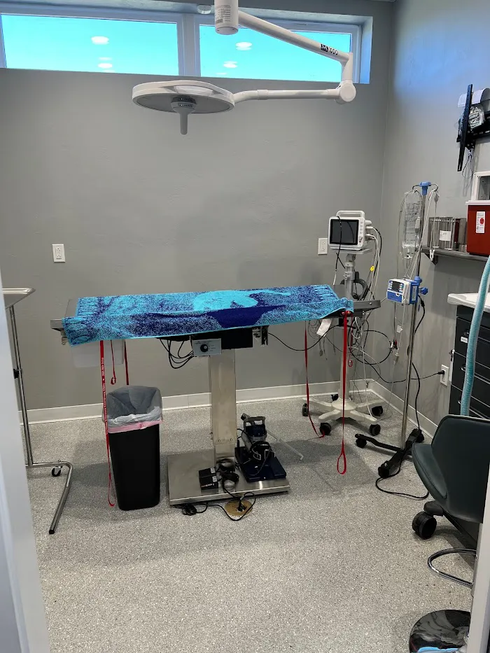 Tricounty Veterinary Emergency Clinic 12