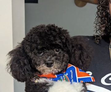 UF Veterinary Hospital at WEC