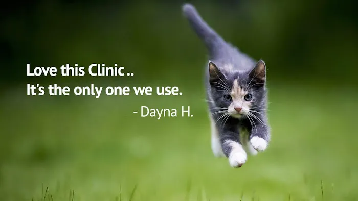 Levy Animal Clinic 12