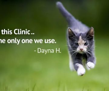 Levy Animal Clinic