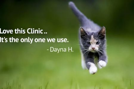 Levy Animal Clinic