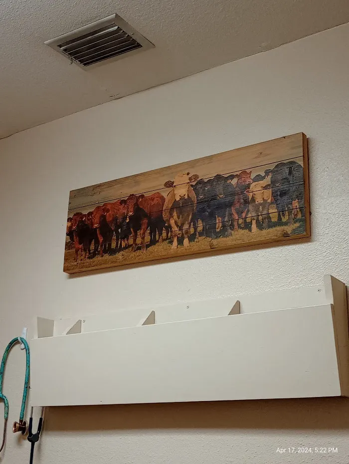 Levy Animal Clinic 12