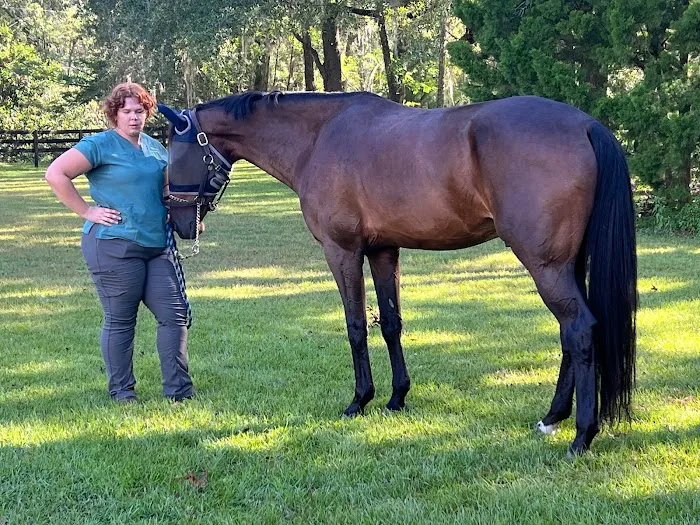 Springhill Equine 12