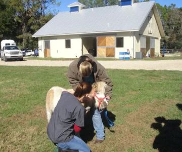 Springhill Equine