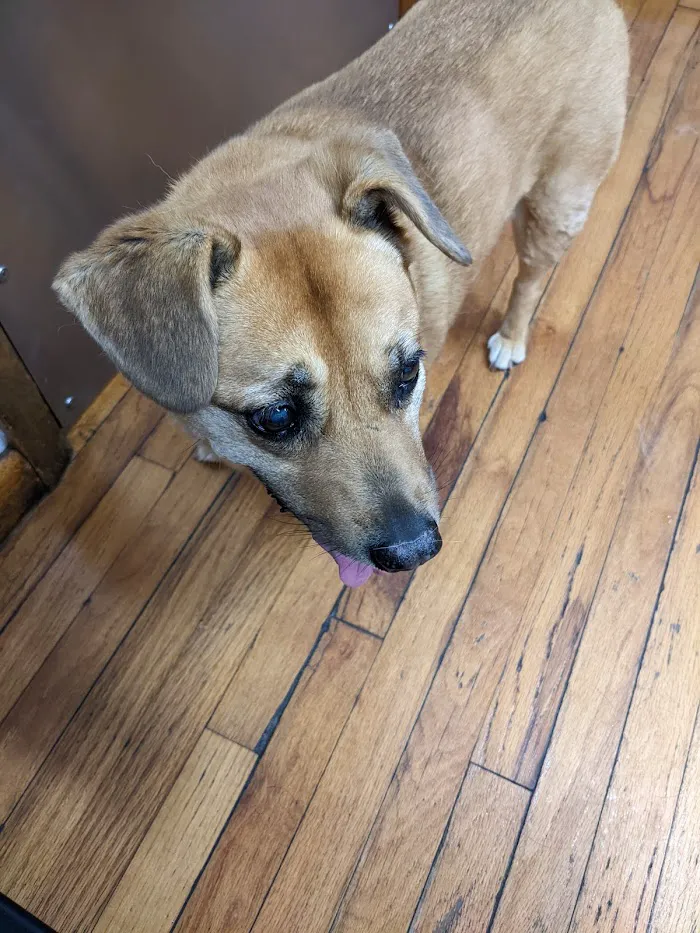 High Springs Animal Hospital 12