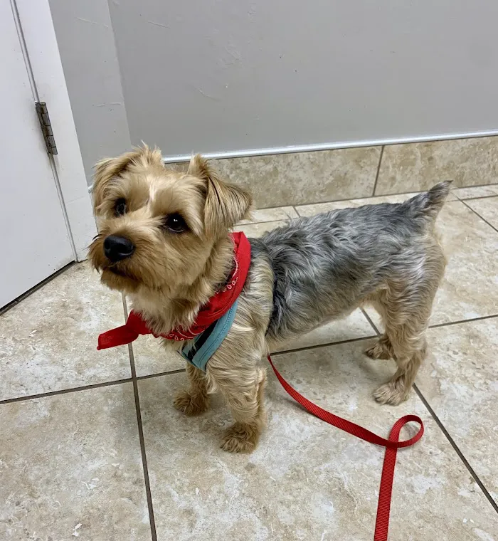 Newberry Animal Hospital 12