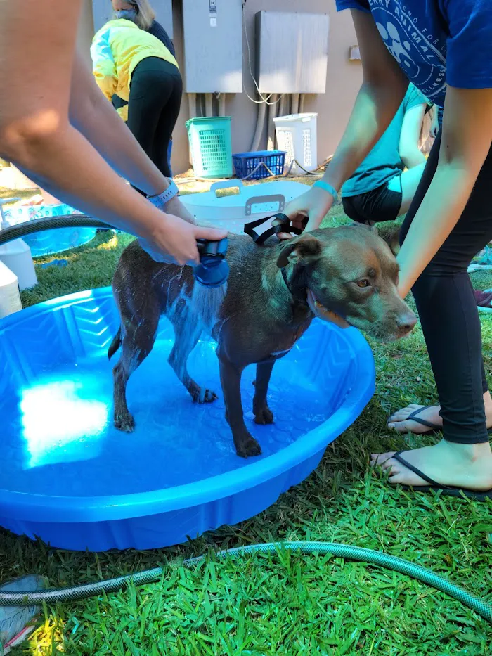 Newberry Animal Hospital 12