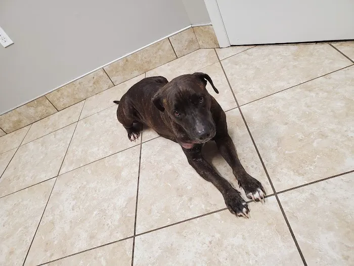 Newberry Animal Hospital 12