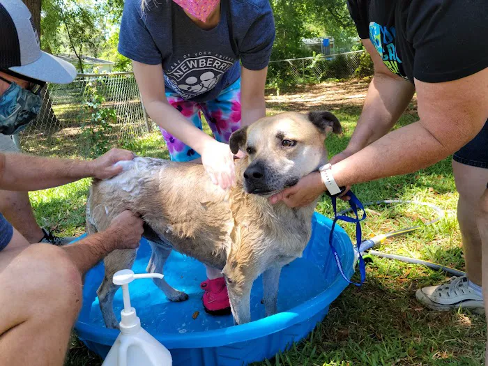 Newberry Animal Hospital 12