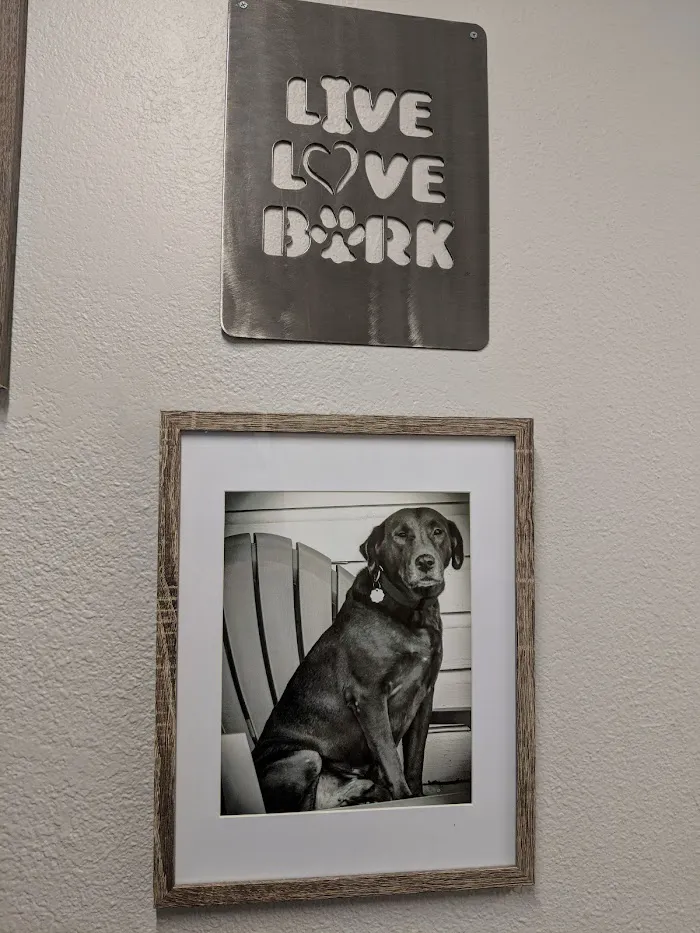 Glen Springs Veterinary Center 6